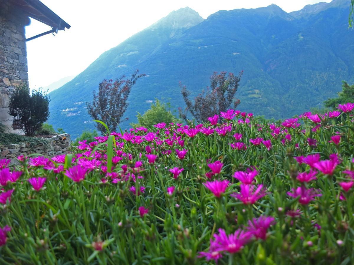 Agriturismo Al Castagneto Villa Mazzo di Valtellina Exterior photo