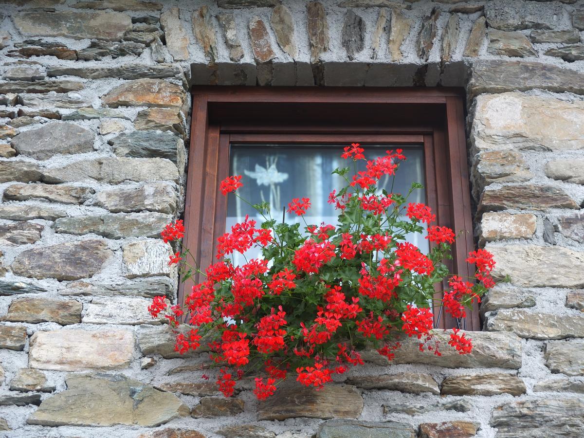 Agriturismo Al Castagneto Villa Mazzo di Valtellina Exterior photo